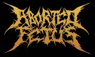 Aborted Fetus