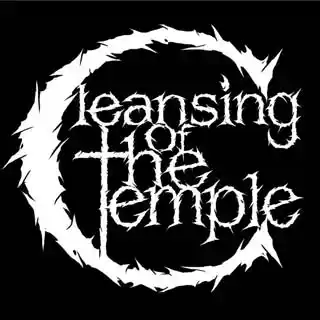 Cleansing Of The Temple