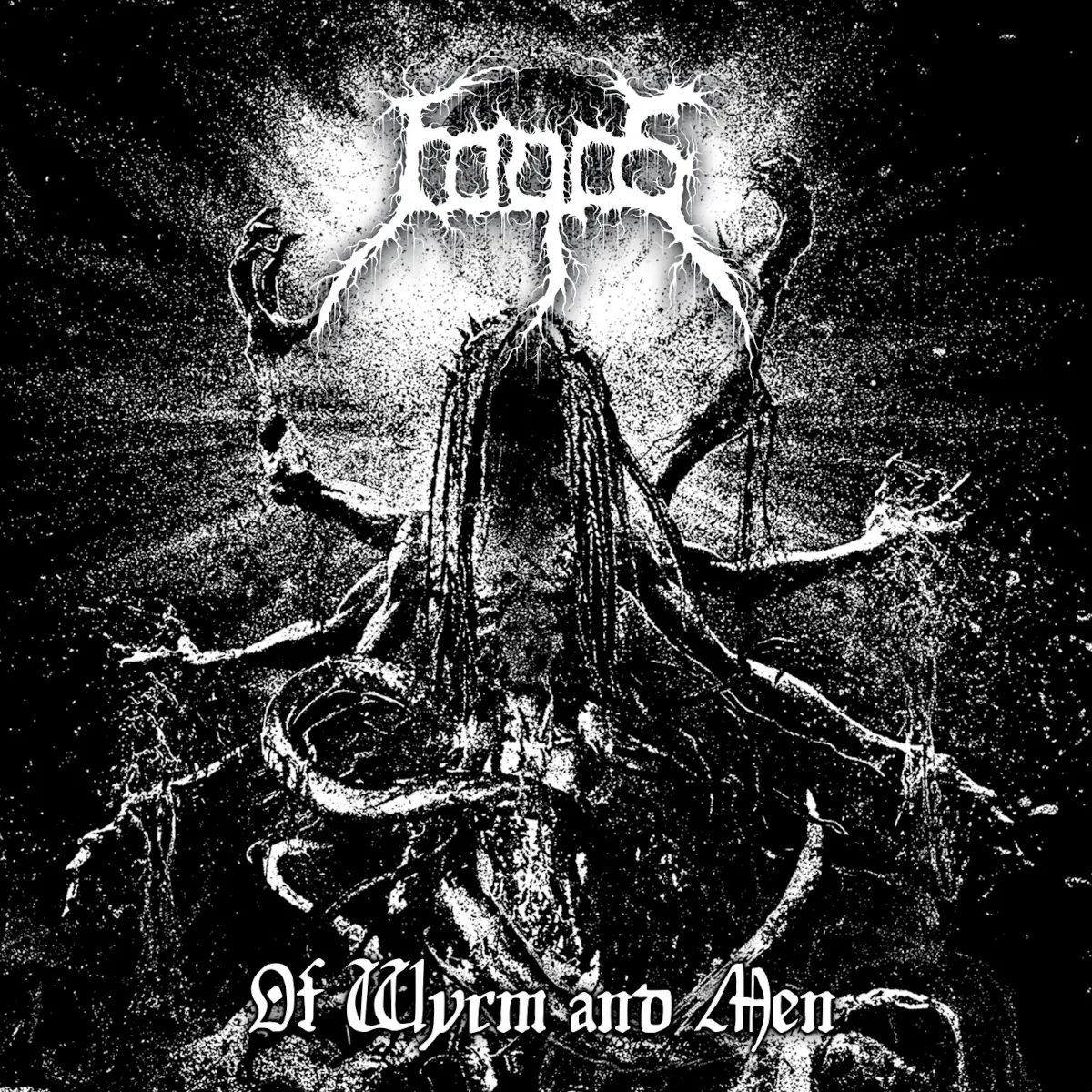 Fogos Cover