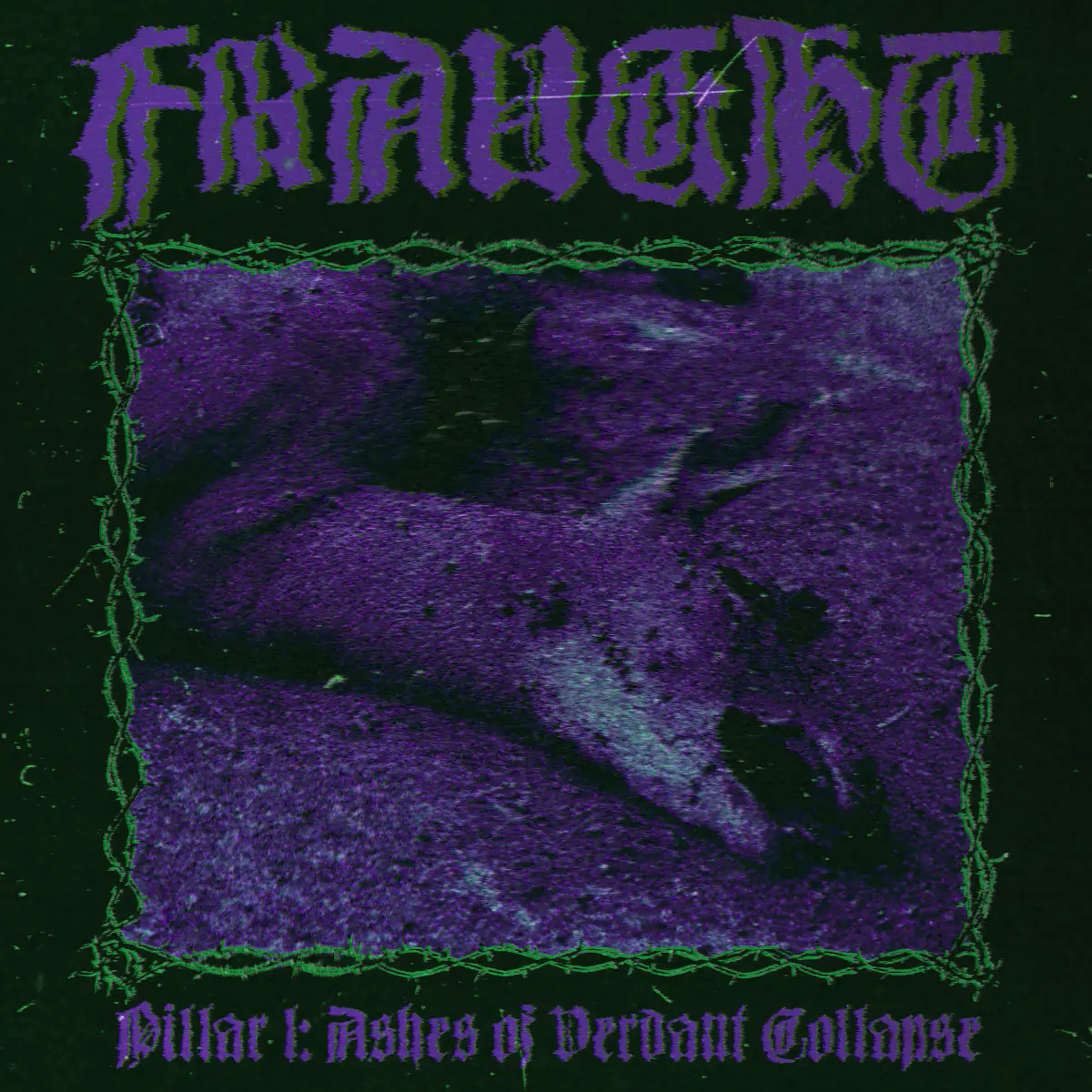 Fraught Cover