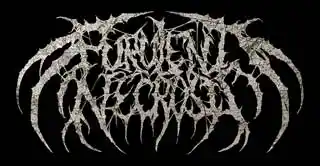 Purulent Necrosis