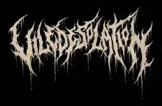 Vile Desolation Logo